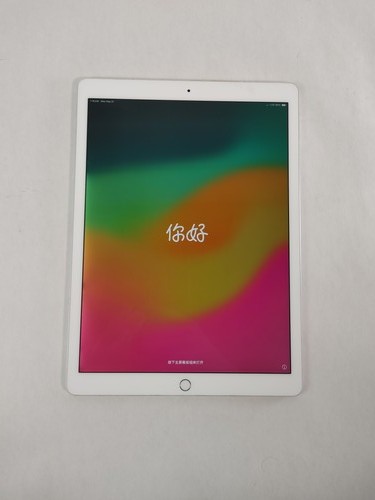 Apple ipad pro 2a gen - ipad,